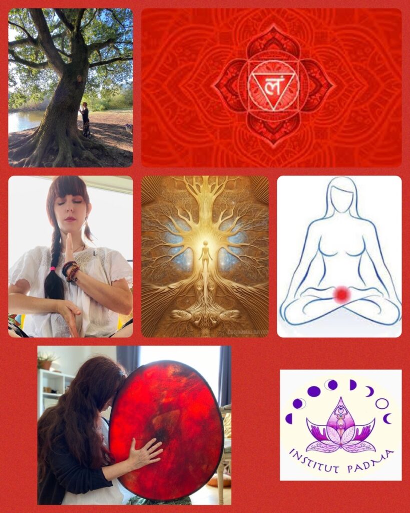 Formation professionnelle sur l'ancrage